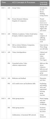 Empowering Chinese university health service providers to become mental health champions: insights from the ACE-LYNX intervention